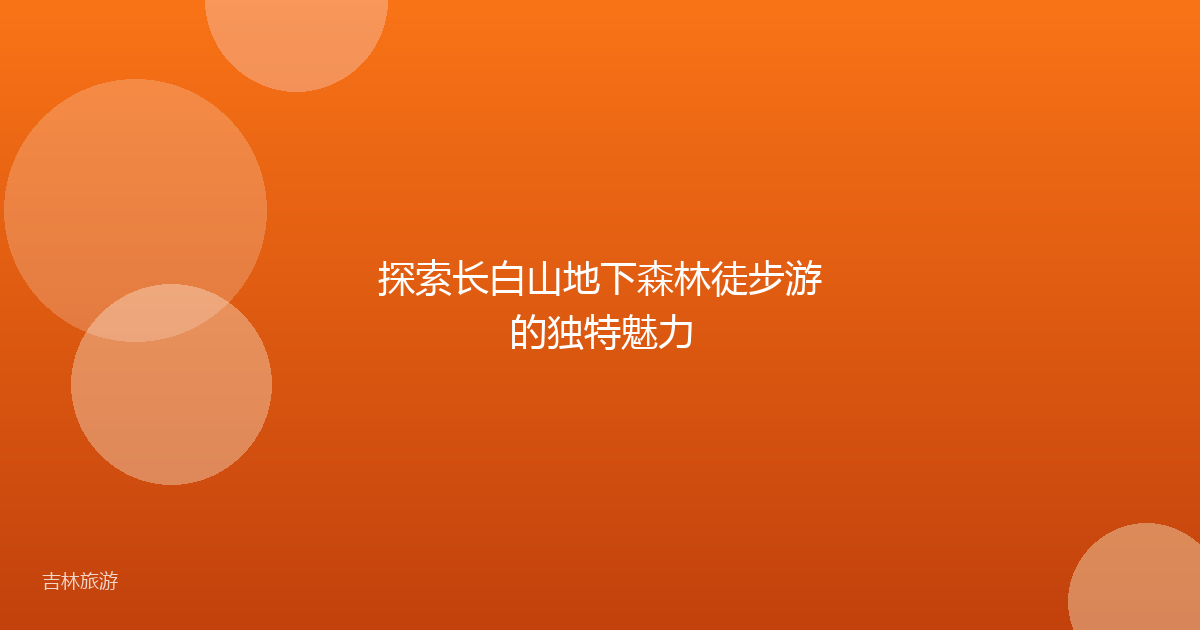 探索长白山地下森林徒步游的独特魅力