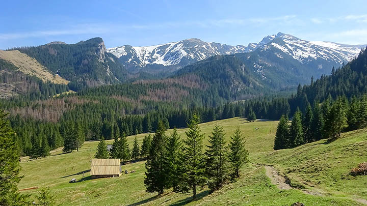 长白山地下森林：实用指南