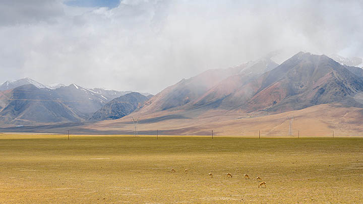 舌尖上的吉林：体验地道朝鲜族美食之旅