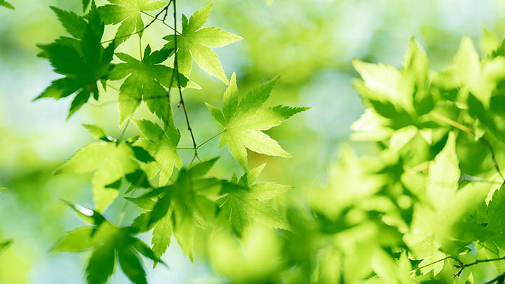 探秘吉林龙潭山：一处自然与文化的宝库
